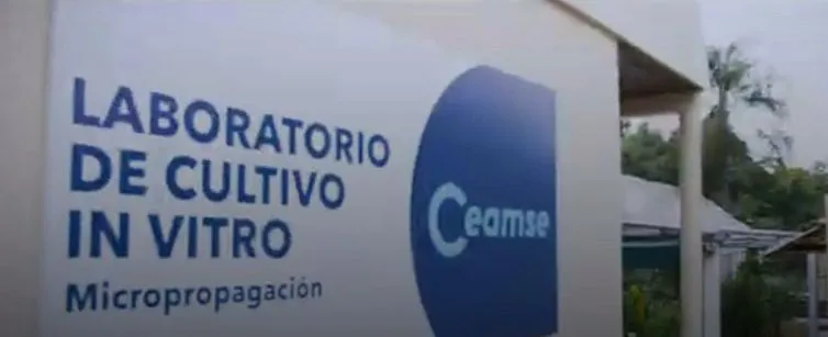 53bb9395-b2ed-478c-b60c-95e4c4860810