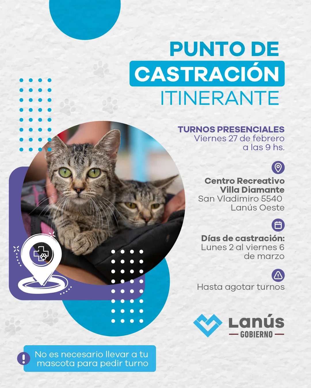 CASTRACION ITINERANTE 2026 - Febrero - 27_FEED