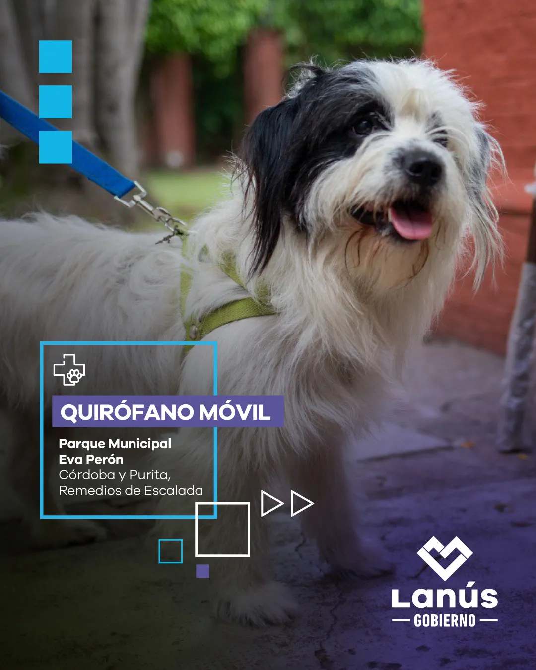 Quirofano Movil - 6 enero_post 1