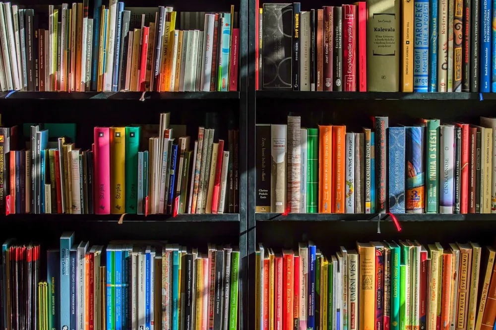 882-bibliotecas-donde-como-y-que-pueden-aportar-en-el-diseno-interior-131-big
