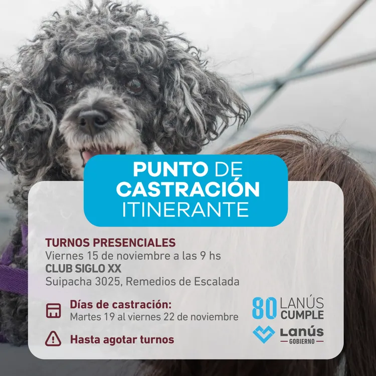 CASTRACION ITINERANTE NOV_post  (1)