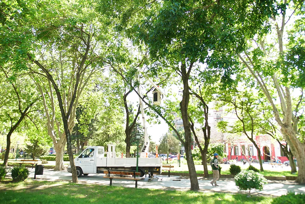 unnamed-2023-11-09T171559.424