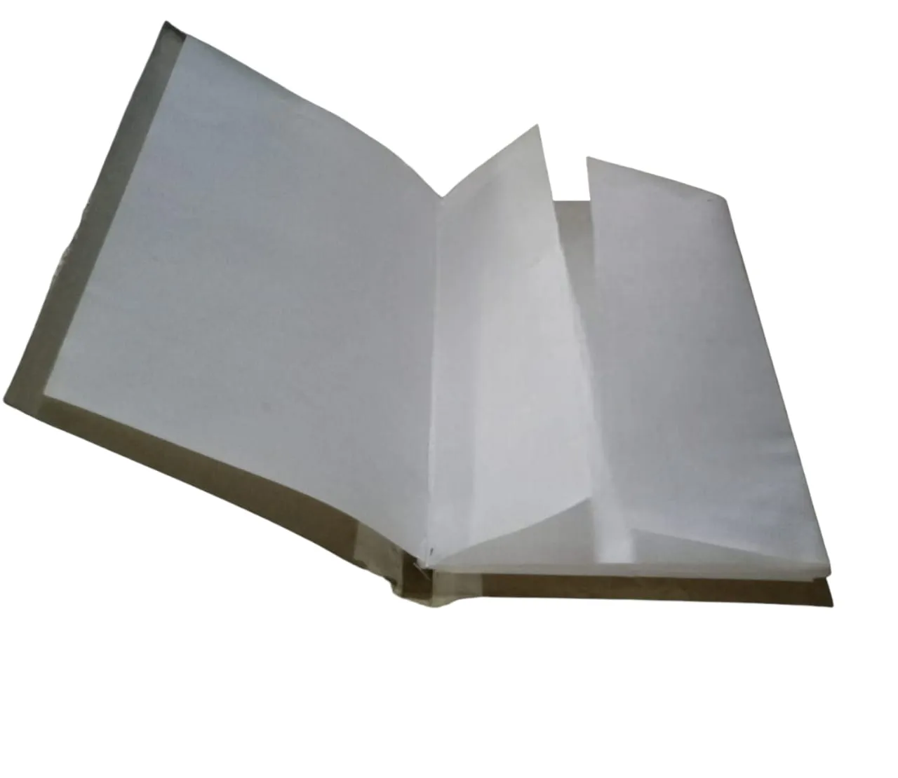 IMG-20250618-WA0016