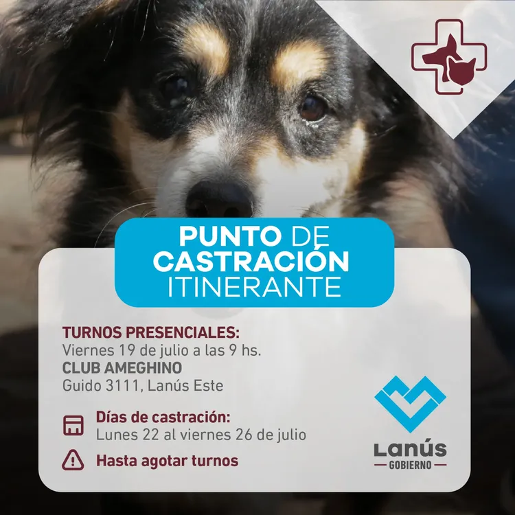 Punto de castracion itinerante - 19 DE JULIO_POST