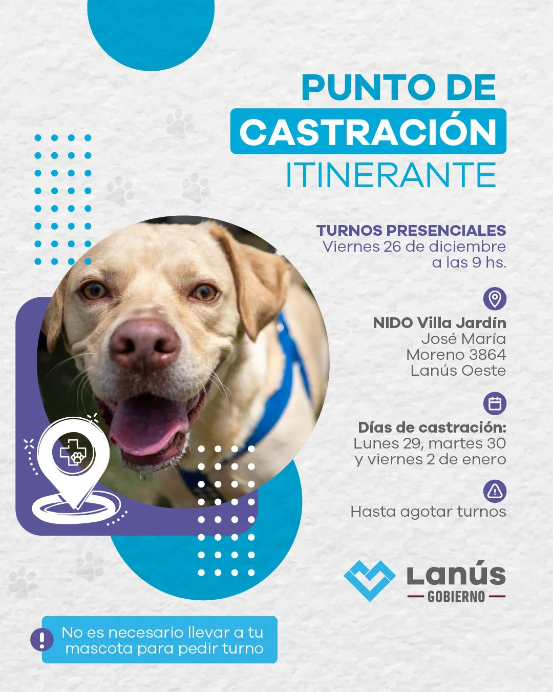 CASTRACION ITINERANTE 2025_FEED