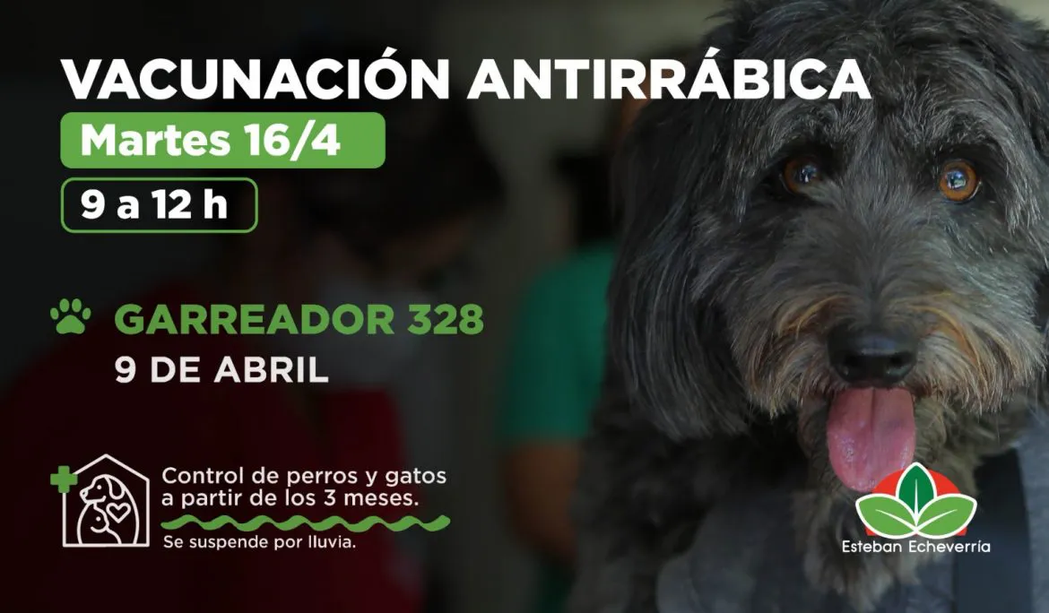 unnamed-2024-04-15T082419.881-1170x684