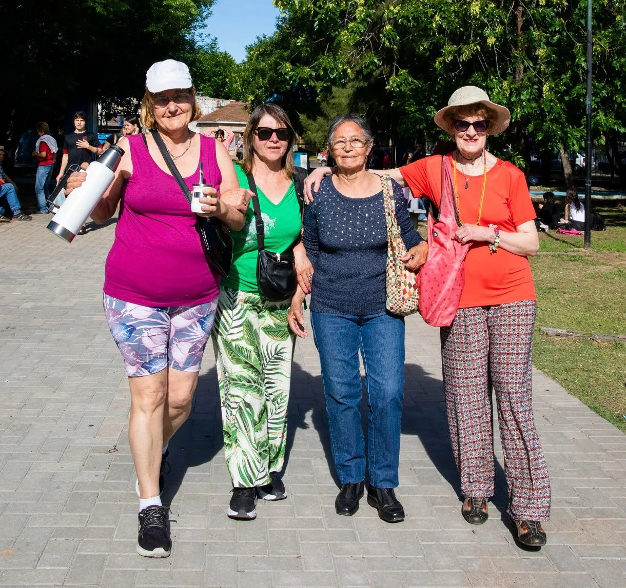 carrusel DISFRUTÁ LANÚS