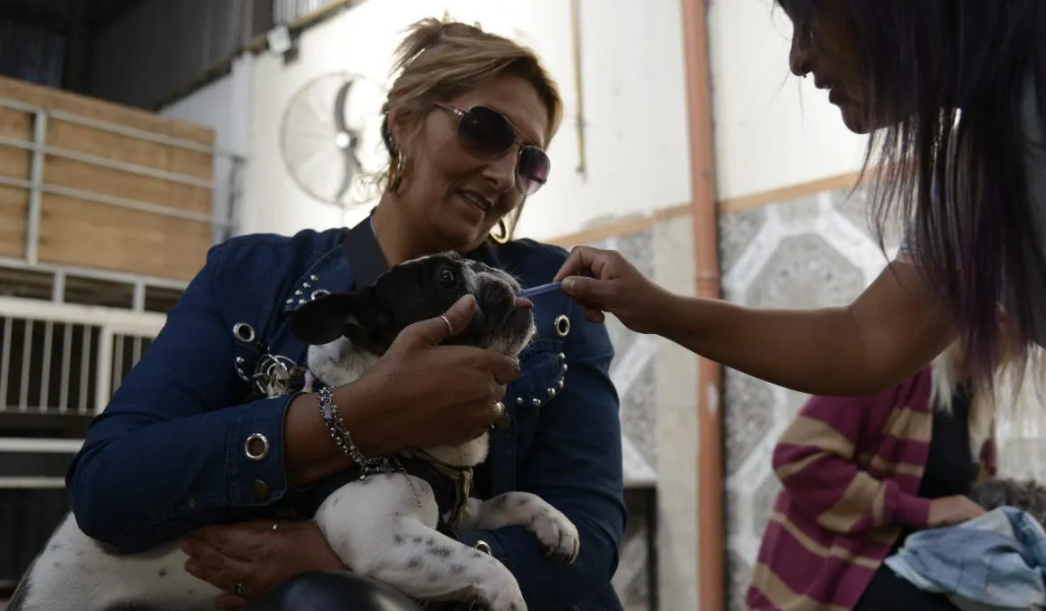 unnamed-8-1-1170x684