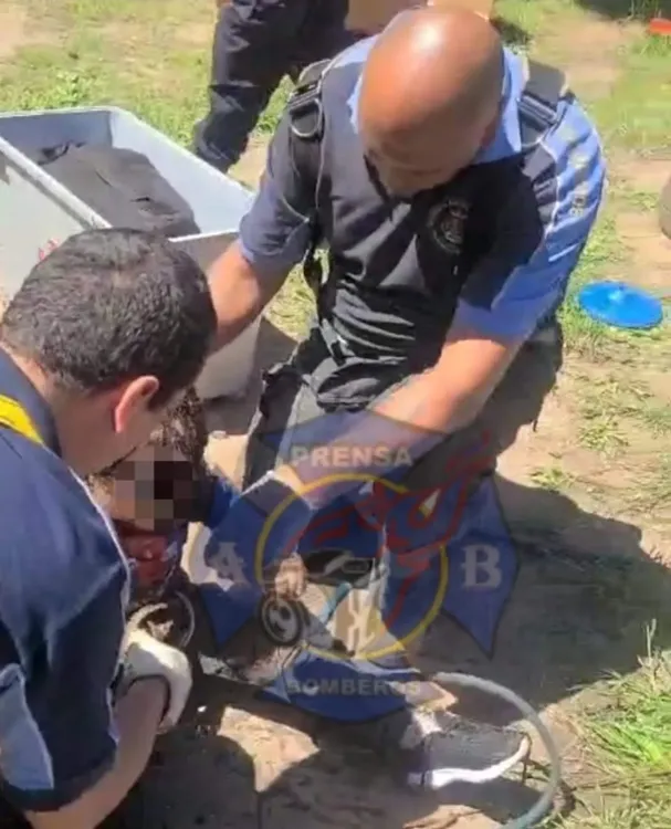 4a26697e-0853-429e-87d9-24555cc492a8