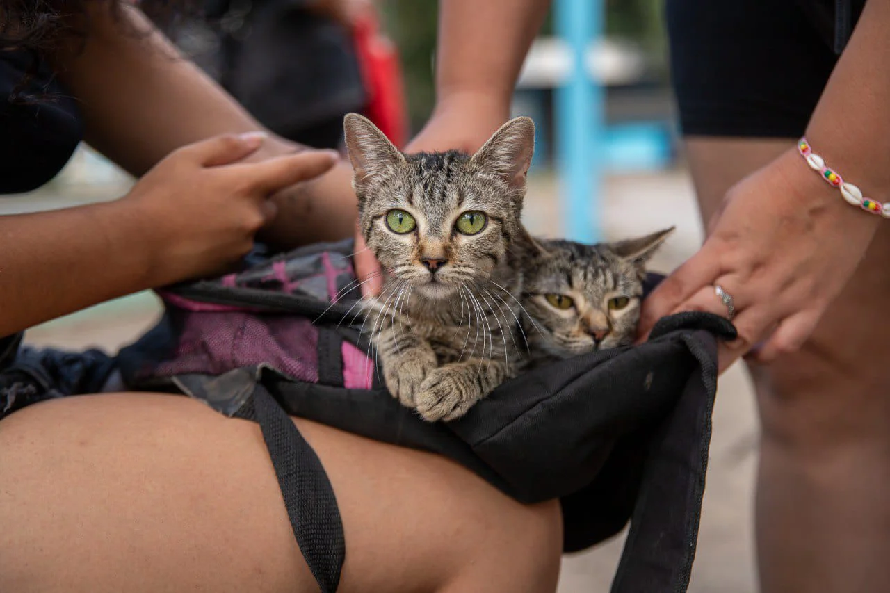 WhatsApp Image 2026-02-09 at 12.32.50