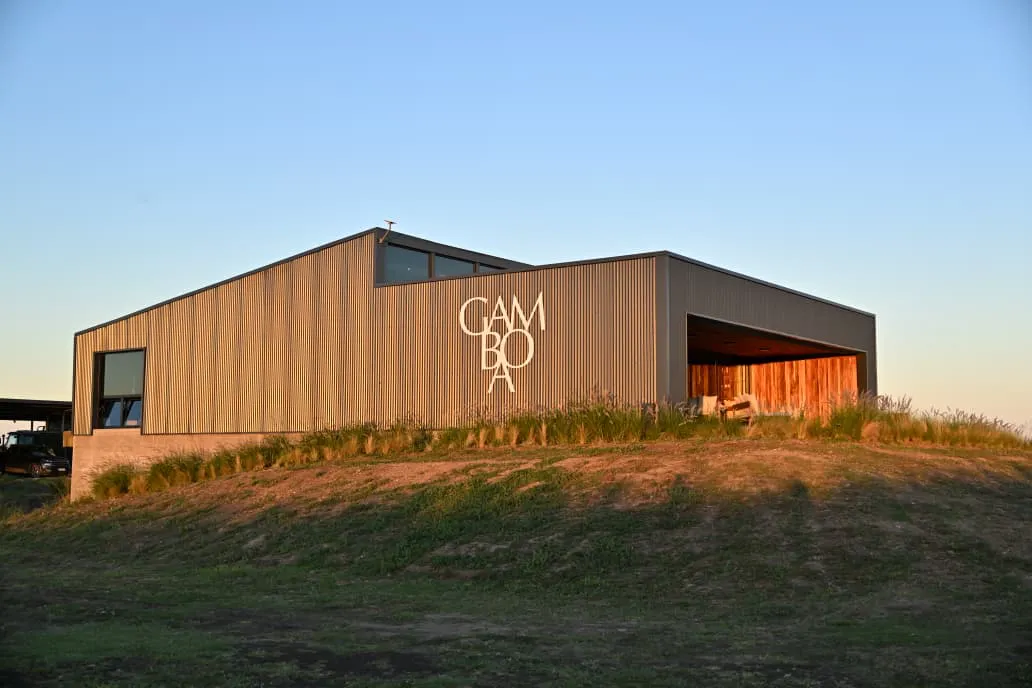 WhatsApp Image 2026-02-17 at 20.17.04