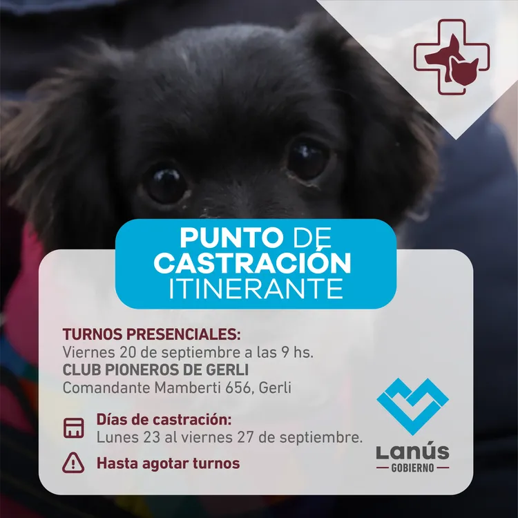 castracion 20-09_post