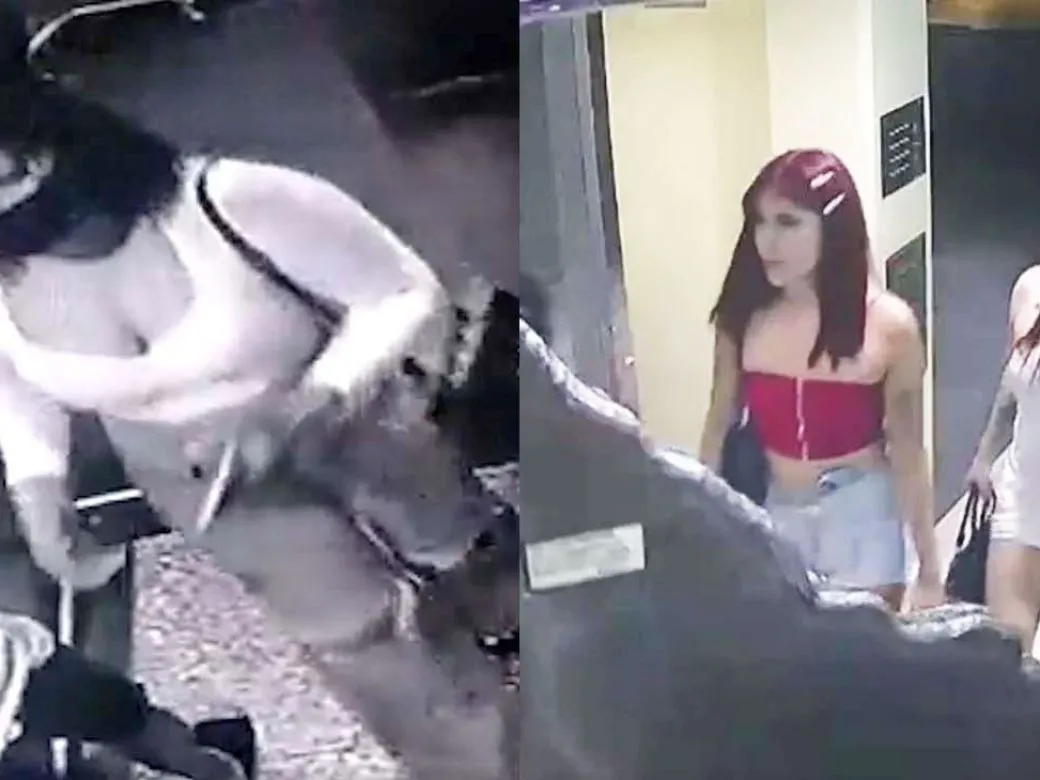 20230402viudasnegrascapturavideog-1539208